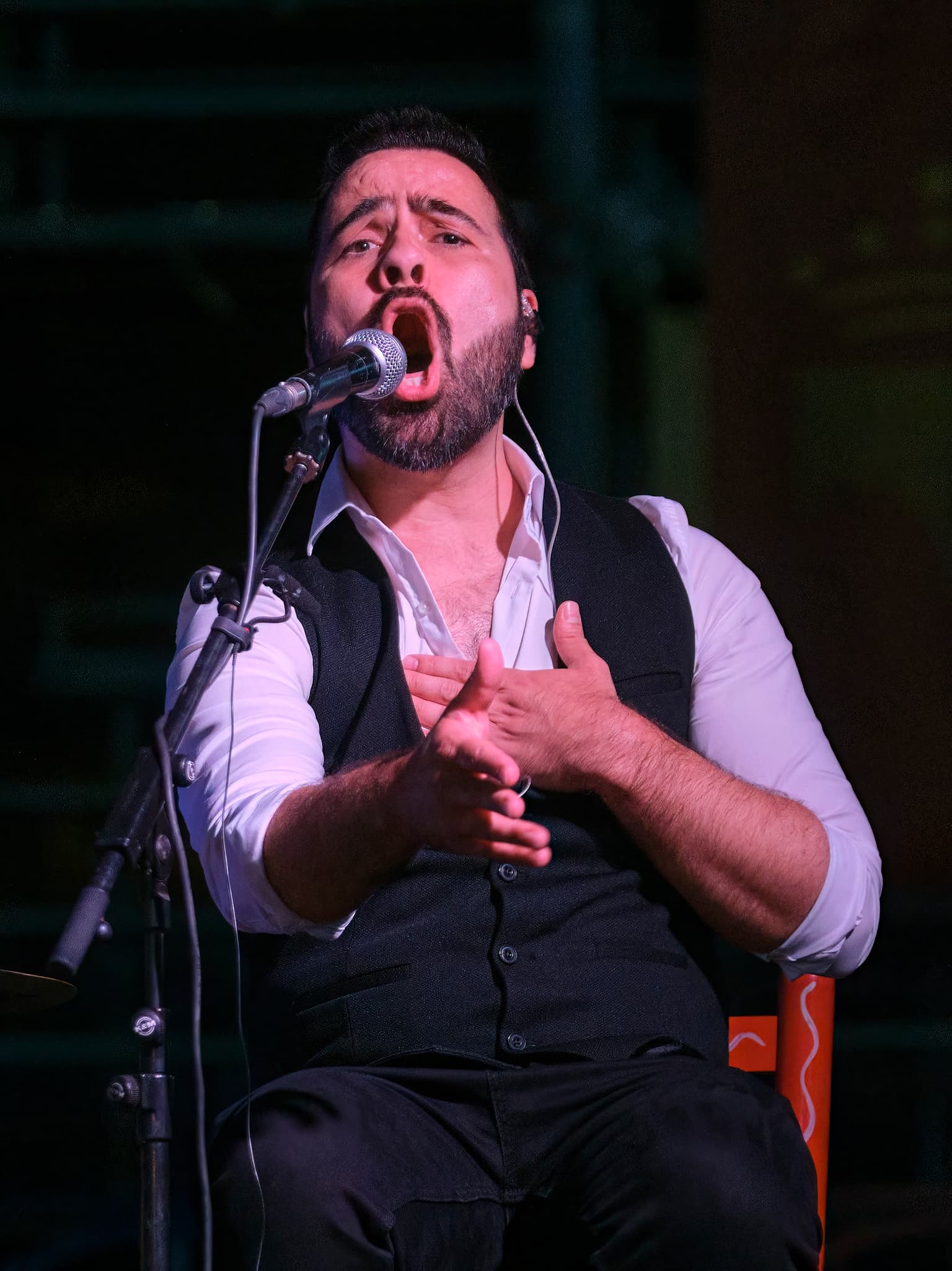 David Hornillo — Cante